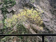 -天目湖涵田度假村