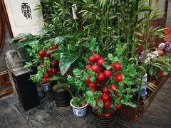 -九花山烤鸭店