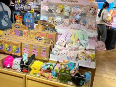 -九木杂物社(东方宝泰店)