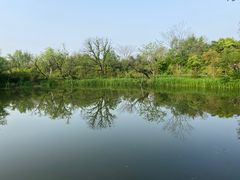 -西溪国家湿地公园