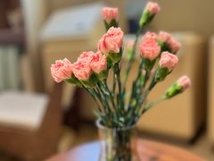 -西安大雁塔科技大学地铁站亚朵酒店