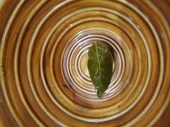 鱼香草-亮欢寨(凯里总店)