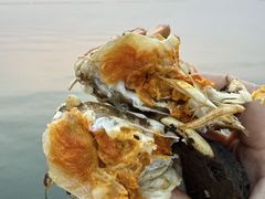 -品鲜村农家菜·阳澄湖大闸蟹(总店)
