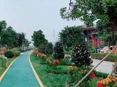 -芒洲湿地公园