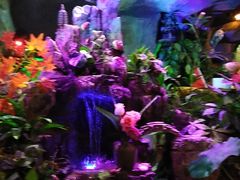 -醉小酒馆·川菜·江湖菜·重庆菜(观音桥旗舰店)