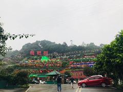 -枇杷园食为鲜火锅(南山店)