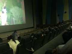 -天幕新彩云国际影城(激光巨幕店)