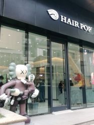 -HAIR POP
