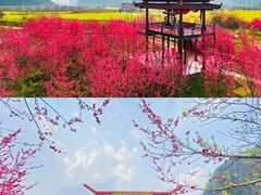 -容州古城