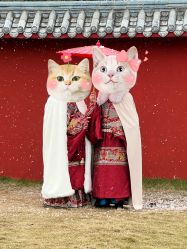 点击看大图 -金夫人婚纱摄影(总店)