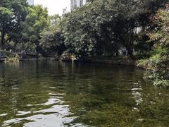 -晓港公园
