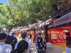 -普陀山风景区-佛顶山