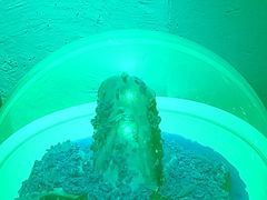 -上名堂·鱼头好吃(体育场路店)