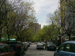 -晋乡亲刀削面(东风桥东店)