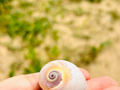 -青岛银沙滩