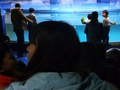 -重庆欢乐海底世界