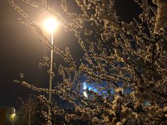 -禅宗少林·音乐大典
