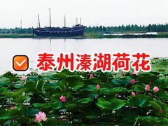 -溱湖国家湿地公园