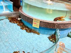 -西贝海鲜汇(槐安路店)