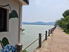 -无锡蠡湖国家湿地公园-蠡园