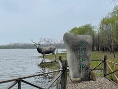 -溱湖国家湿地公园