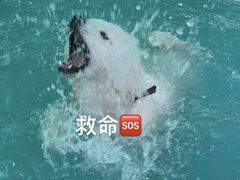 -首钢篮球中心-游泳馆