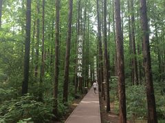 -同里国家湿地公园