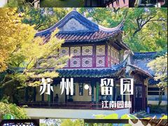 -留园