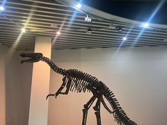 -烟台自然博物馆