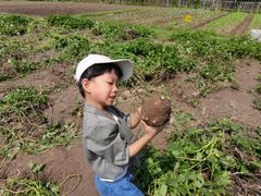 -前小桔亲子创意农场·草莓采摘·露营烧烤