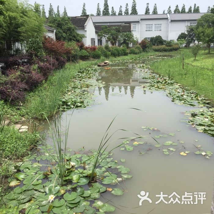 蒋巷生态园