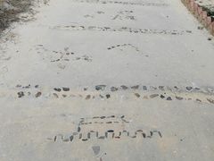 -彩色沙林风景区