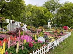 -上海共青森林公园