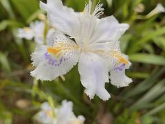 -上海滨江森林公园