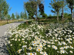 -汉长安城未央宫国家考古遗址公园