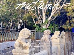 -卢沟桥