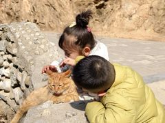 -终南山南五台景区