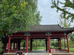 -张家湾公园