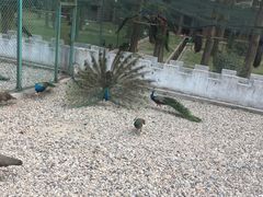 -南京金牛湖风景区