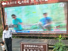 -合肥滨湖国家森林公园