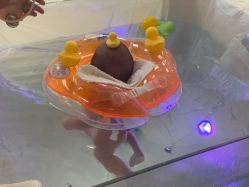 点击看大图 -金鹰国际月子中心(新街口店)