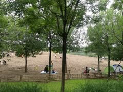 -东郊湿地公园