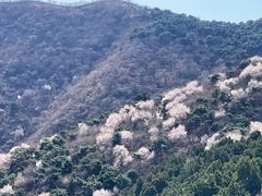 -香山公园
