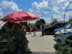 -樂桃源奉贤黄桃种植采摘基地