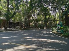 -广东茂名森林公园