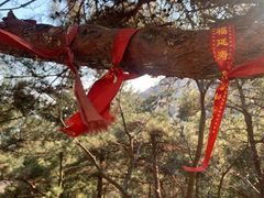 -崂山仰口游览区
