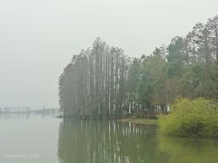 -东湖落雁景区