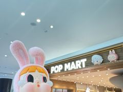 -泡泡玛特POPMART(合生汇店)