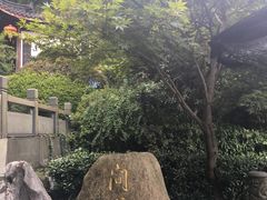 -十八棵（老龙井）御茶园(老龙井店)