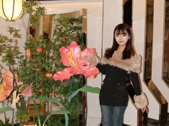 -假装苏杭·园林餐厅(陆家嘴中心店)